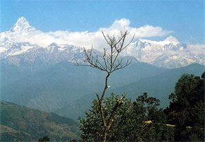 Annapurna Himalaya Flitterwochenreise Tour