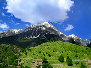 Pakistan Heritage Tour